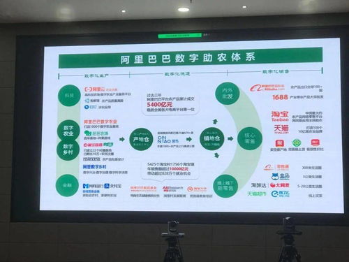 數(shù)字賦能 鏈動(dòng)全球 中國農(nóng)產(chǎn)品電商的崛起與數(shù)字內(nèi)容服務(wù)新篇章